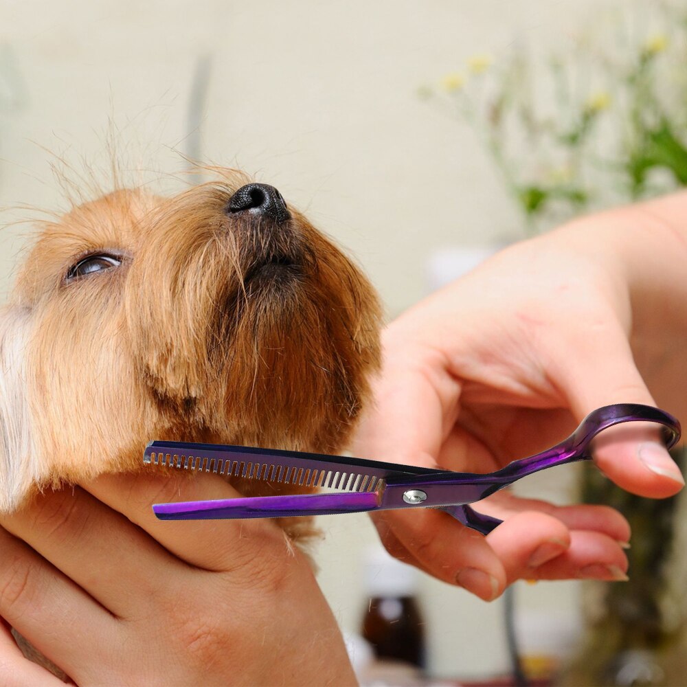 Kit de toilettage professionnel pour animaux